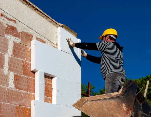 Best Spray Foam Insulation  in Orange Grove, TX
