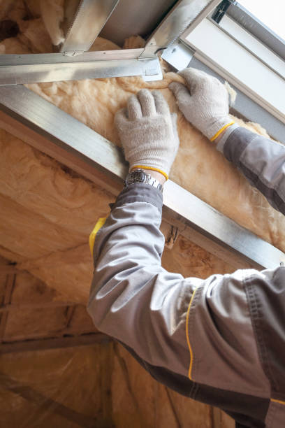 Best Insulation Repair Services  in Orange Grove, TX