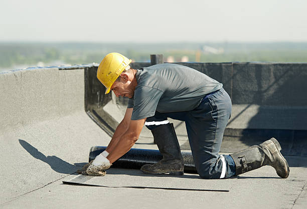 Trusted Orange Grove, TX Insulation Contractor Experts
