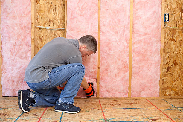 Best Insulation Contractors for Homes  in Orange Grove, TX