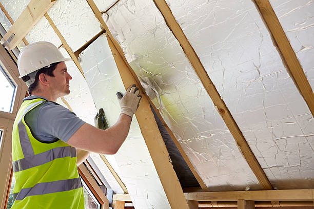 Best Fiberglass Insulation  in Orange Grove, TX
