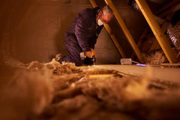 Best Insulation Repair Services  in Orange Grove, TX